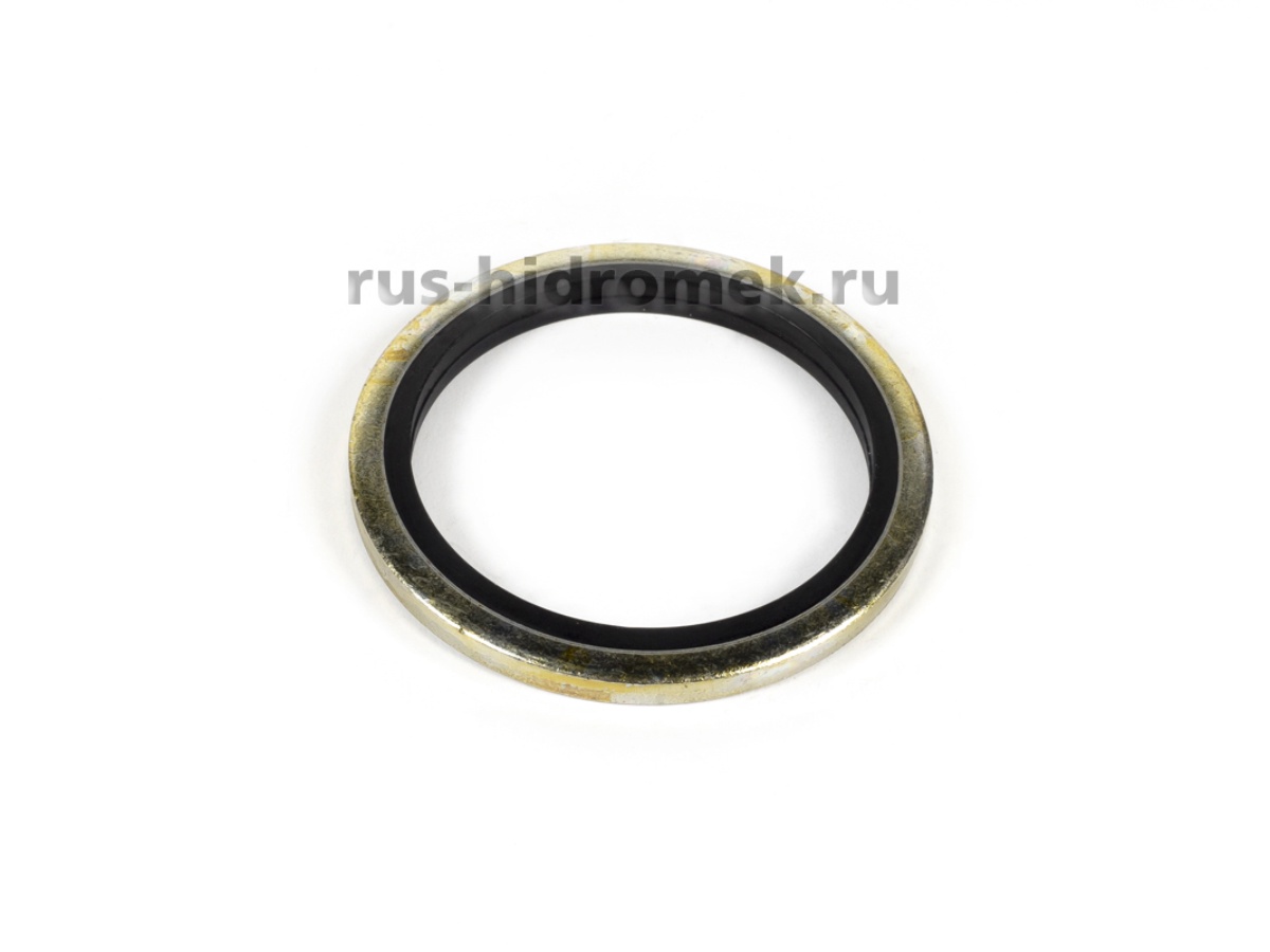 S18/14172 Кольцо металлорезиновое 1" (N03/0000030). Фото 1